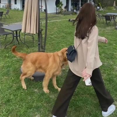 孤楼求生